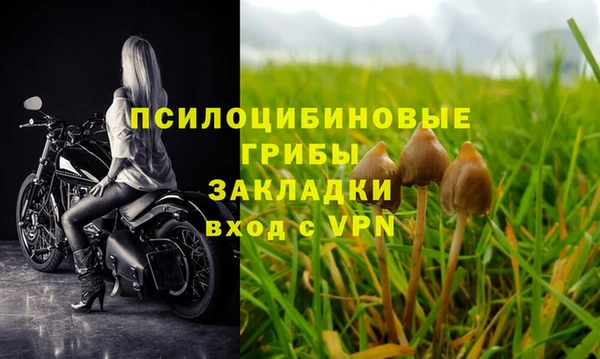 дживик Бутурлиновка