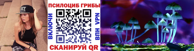 сколько стоит  Северская  Псилоцибиновые грибы Psilocybine cubensis 